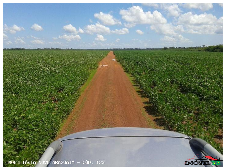 Foto principal: Fazenda Agricultura