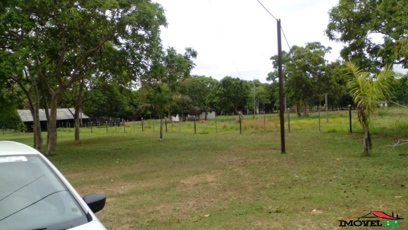 FAZ. DE 126 HA EM POCONE, MORAR OU INVESTIR! — foto 2