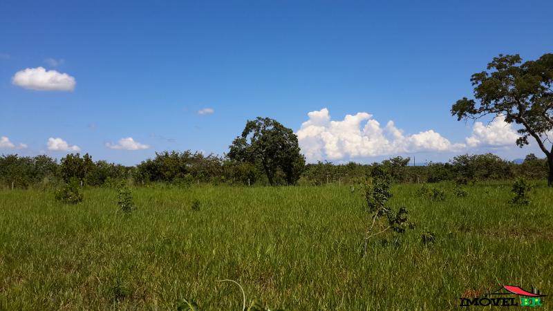 OPORTUNIDADE! FAZENDA DE 500 HA PRONTA! — foto 3