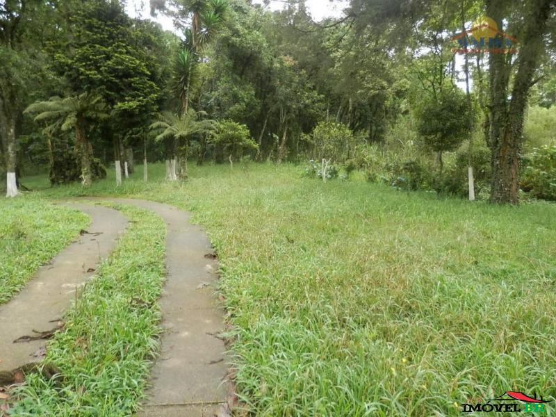 Área residencial com 5000 m ² — foto 3