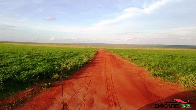 FAZENDA DE 12.545 HA EM PRIMAVERA DO LESTE MT CAPITAL DA SOJA! — foto 2