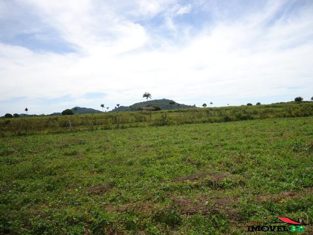 Foto principal: Fazenda Santa Maria
