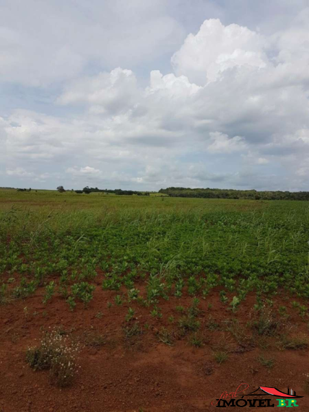 FAZENDA EM CANABRAVA DO NORTE - MT  (CANA BRAVA) — foto 2