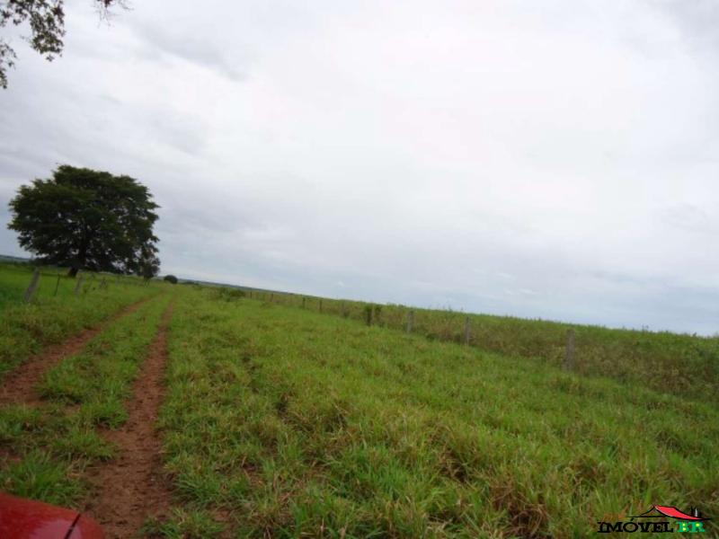 Foto principal: FAZENDA EM CANARANA - MT  (DOIS LAGOS)