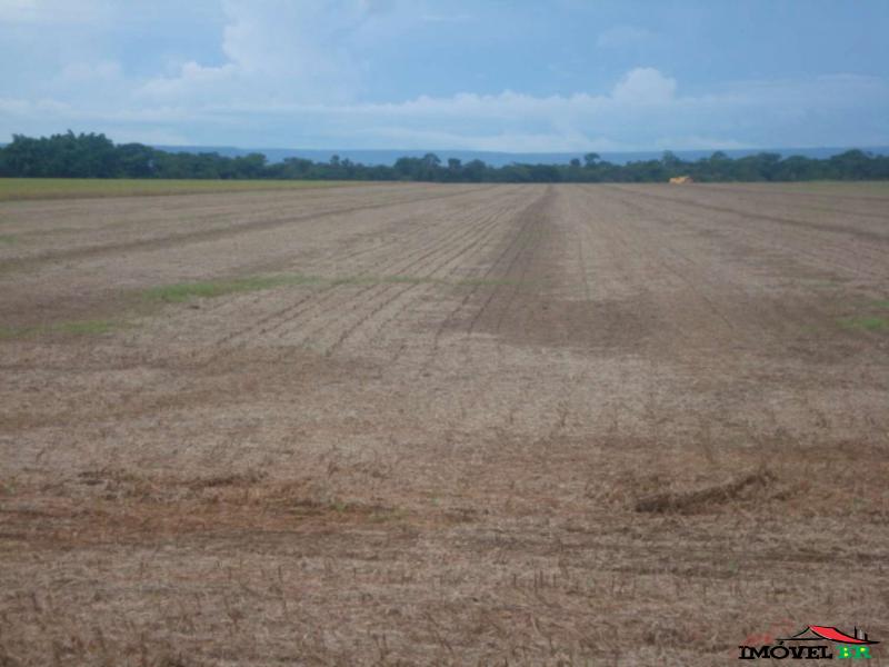 Foto principal: FAZENDA EM CANARANA - MT  (MIOLO DA SOJA)