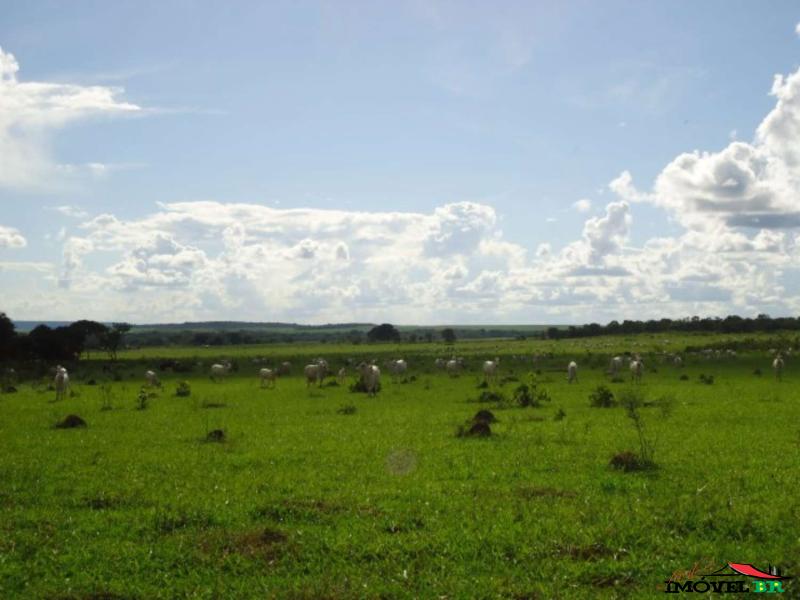 Foto principal: FAZENDA EM CANARANA - MT  (PONTO ALTO)