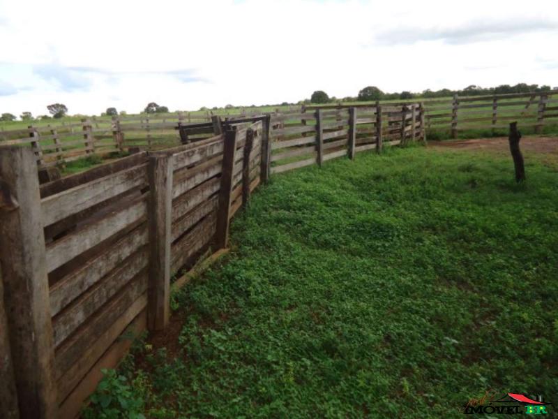 FAZENDA EM CANARANA - MT  (PONTO ALTO) — foto 2