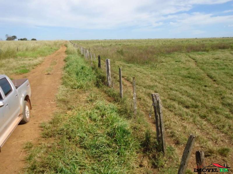 FAZENDA EM CANARANA - MT  (TAUÁ II) — foto 2