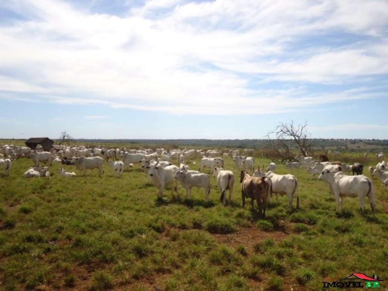 Foto principal: FAZENDA EM CANARANA - MT  (TAUÁ II)