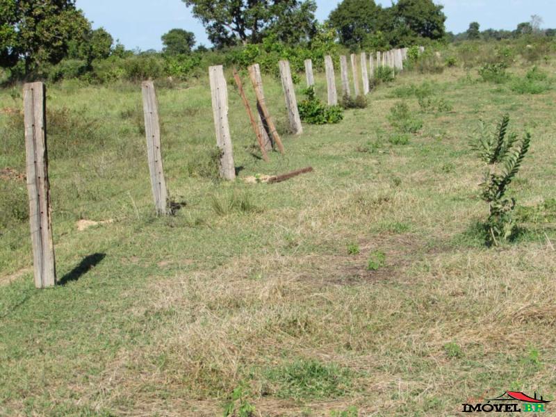 FAZENDA EM ÁGUA BOA - MT  (COM PASTAGEM PRA RECRIA ENGORDA) — foto 3