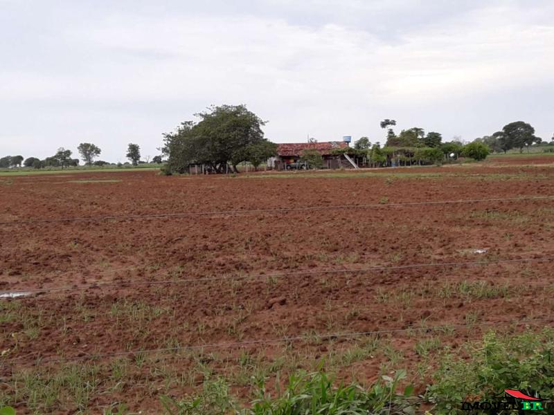 Fazenda em Cocalinho -MT — foto 2
