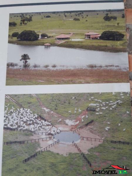 Foto principal: FAZENDA COM ESTRUTURA DE PECUÁRIA DE PRIMEIRA