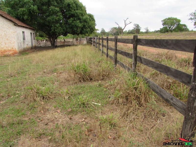 FAZENDA PRA CRIAÇÃO BOVINA — foto 2