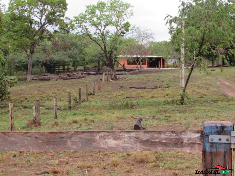 FAZENDA COM PASTAGEM PRA RECRIA ENGORDA — foto 2