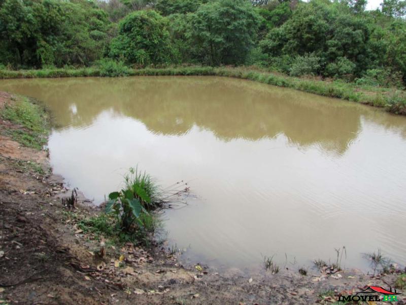 Foto principal: FAZENDA COM PASTAGEM PRA RECRIA ENGORDA