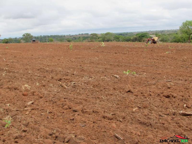 FAZENDA PECUÁRIA PODENDO PLANTAR SOJA EM 90% DA ÁREA ABERTA — foto 2