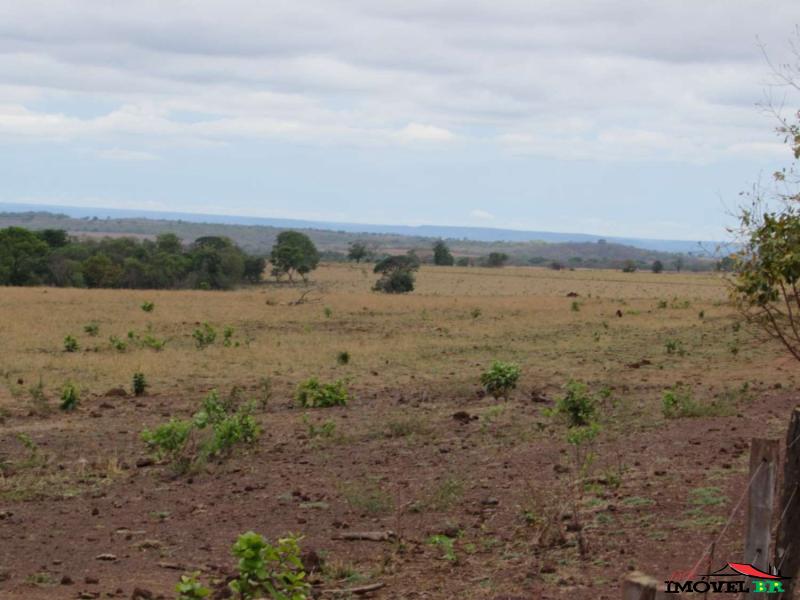 Para uso em Pecuária / Agricultura. — foto 2