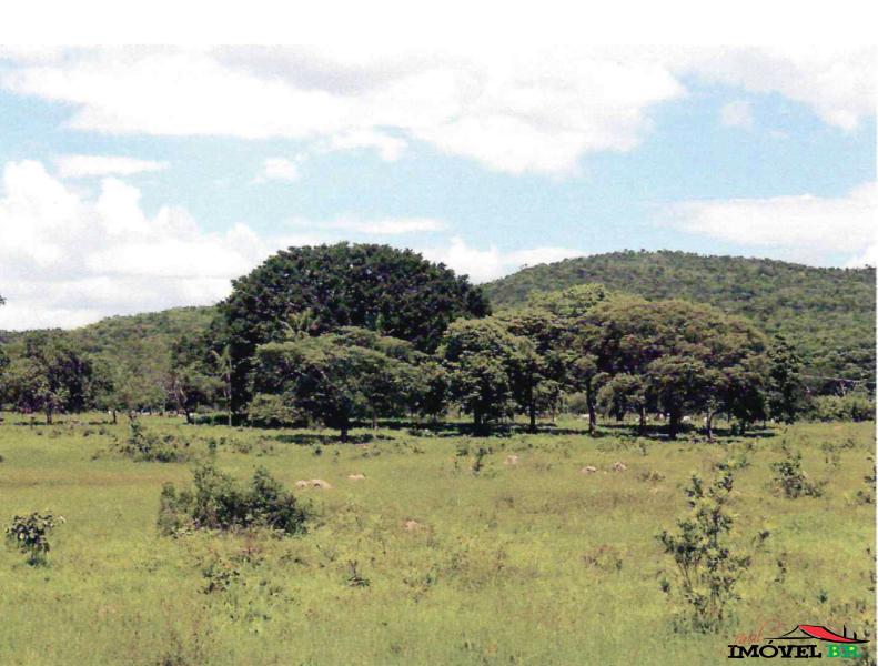 Propriedade rural à venda- FAZENDA LIMOEIRO — foto 2